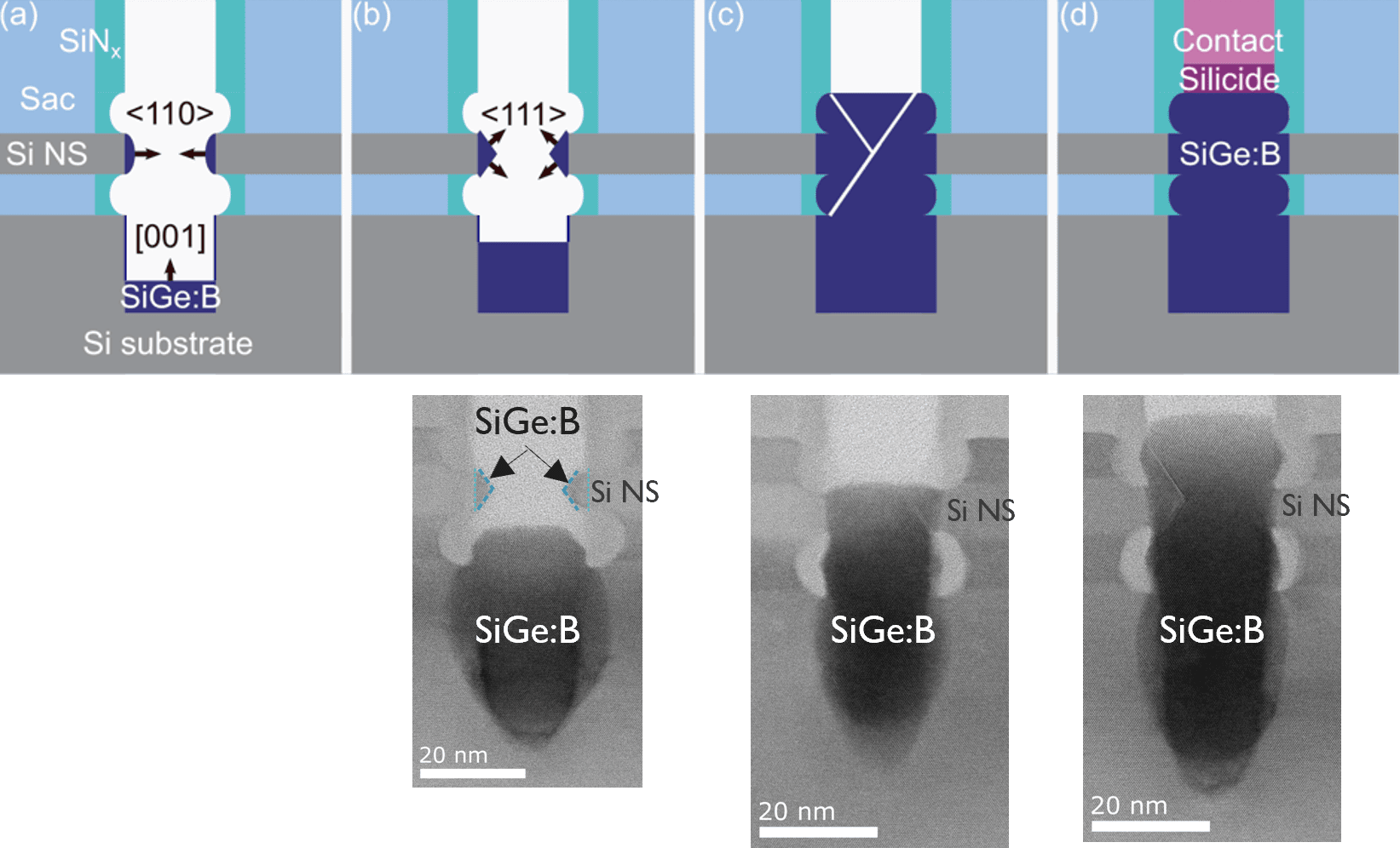 schematic and tem image
