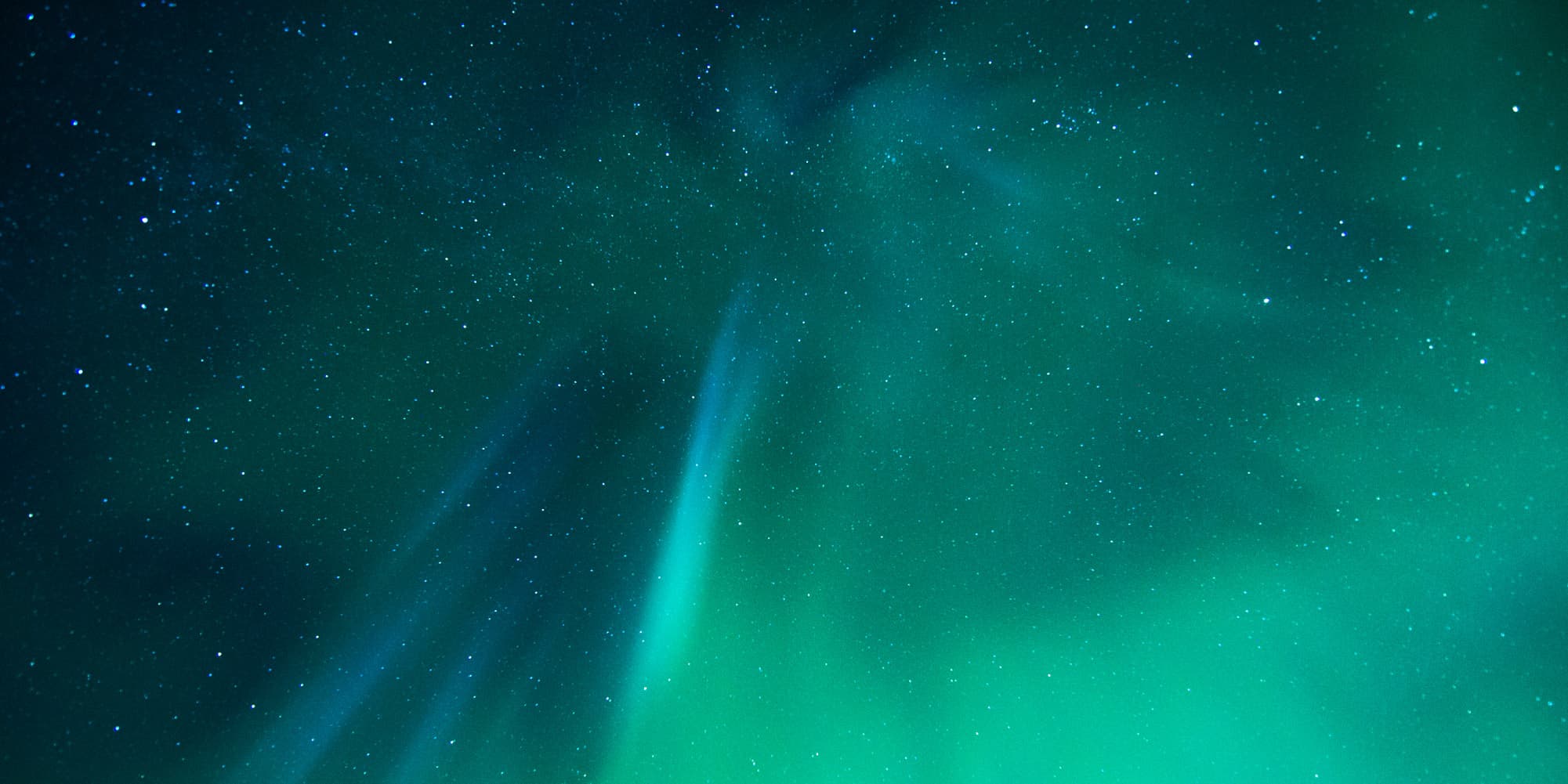 Newsletter subscription